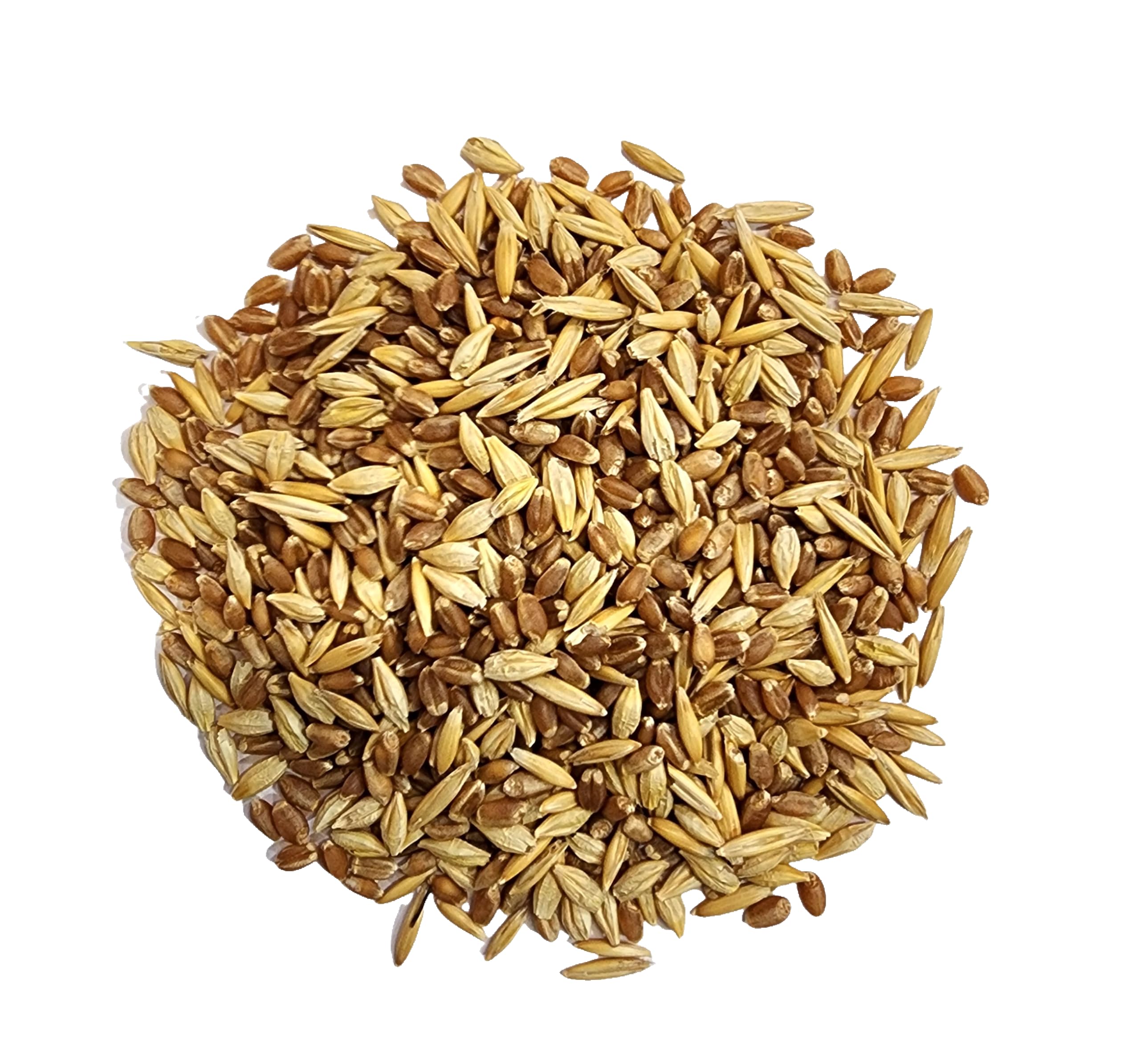 Organic Cat Grass Seeds, Non-GMO, A Mixture of Wheat, Oats, and Barley (800g)