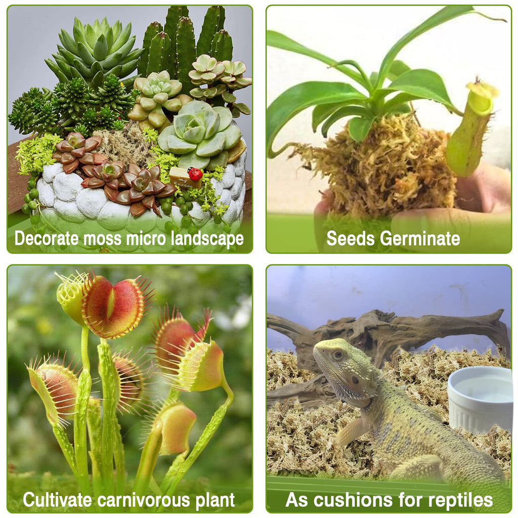 Legigo 1.2LBS Premium Sphagnum Moss for Plants- 20QT Natural Succulent Carnivorous Plant Moss Dried, Long Fiber Orchid Moss for Orchid Repotting Succulent Sarracenia Potted Plants Gardening & Reptiles