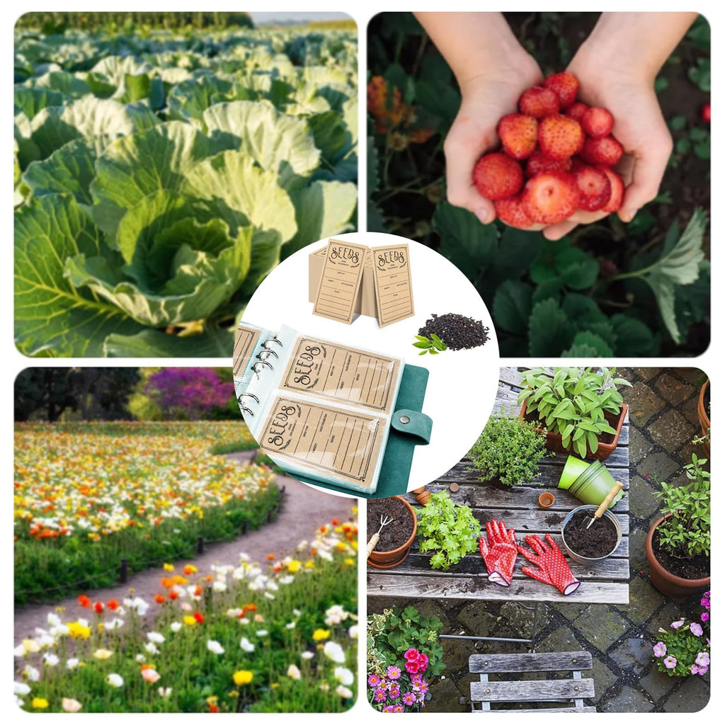 100Pc Self-Sealing Seed Envelopes for Garden, Saving, Collection, and Organization - Storage Box and Binder Included - Ideal for Every Gardener (Green)