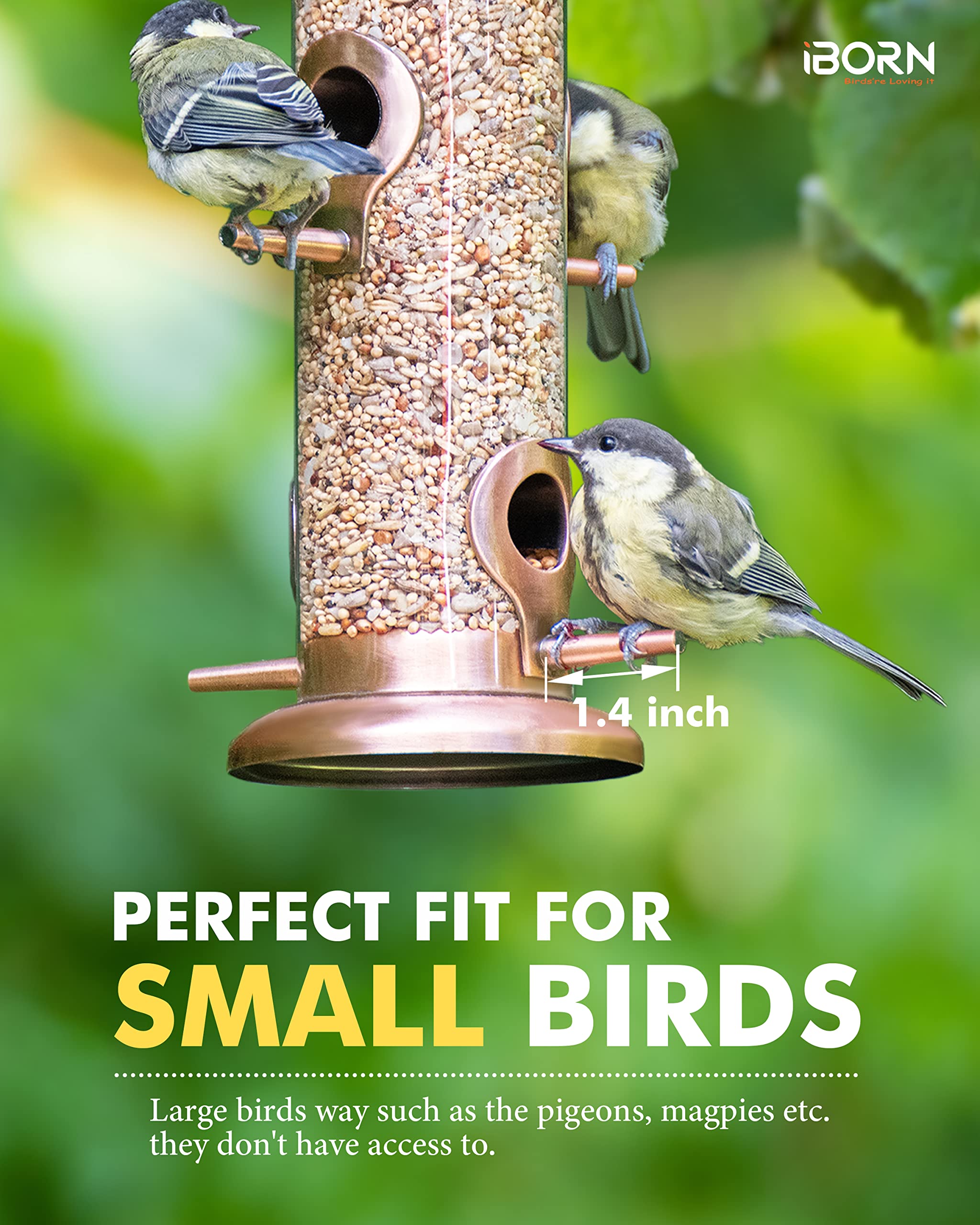 iBorn Metal Bird Feeders Brushed Copper Wild Bird Feeder for Outdoors Hanging All Metal Brushed Copper Finishing 15 Inch 6 Port,Pack of 1(Seed is not Included)