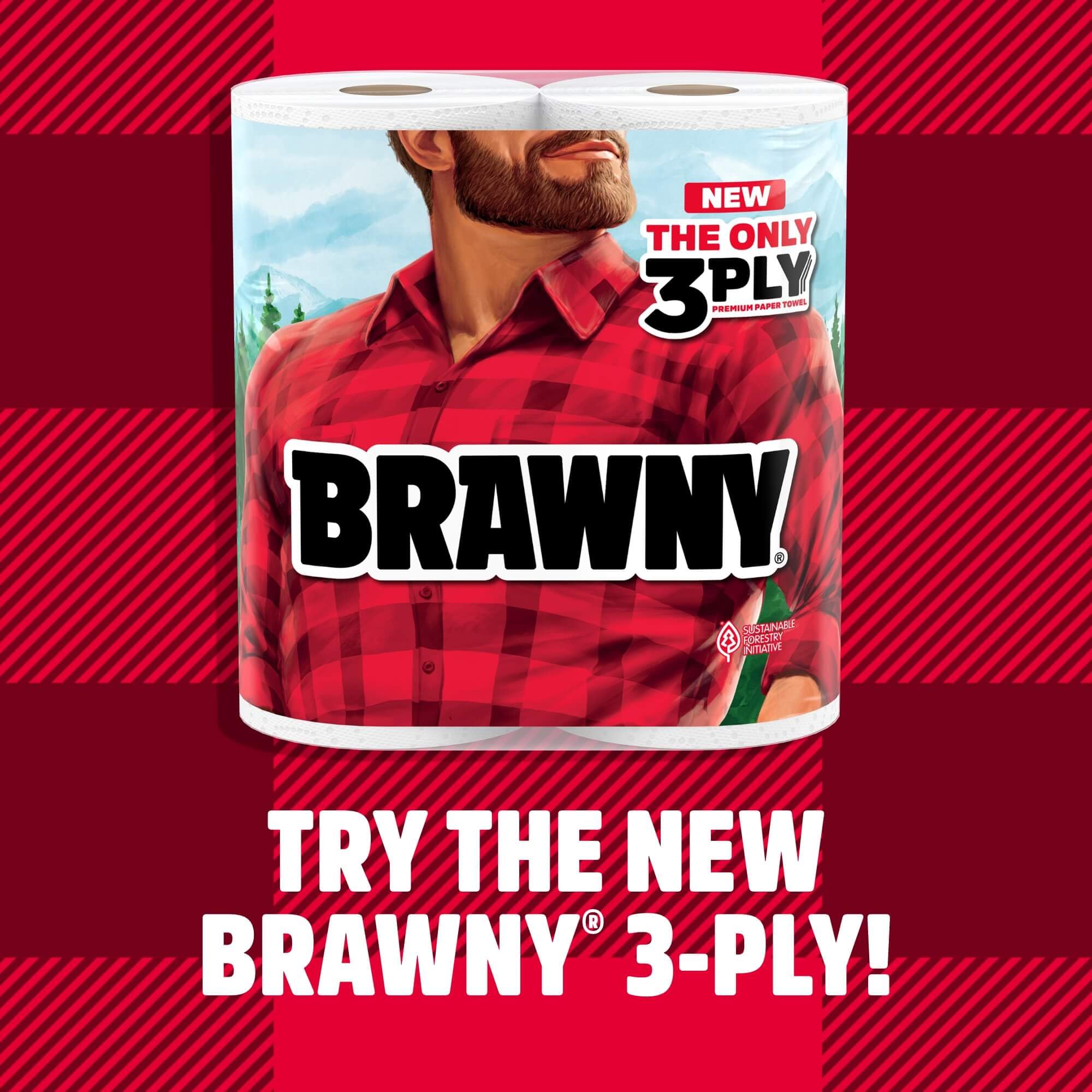 Brawny Tear-A-Square Paper Towels, 6 Double Rolls = 12 Regular Rolls, 3 Sheet Sizes (Quarter, Half, Full), Strength for All Messes, Cleanups, and Meal Prep, White