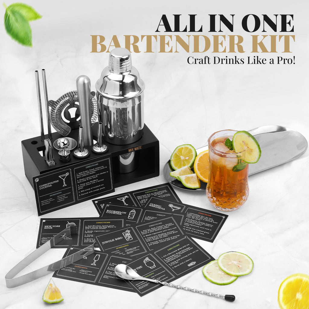 Mixology Bartender Kit with Stand | 15 Piece Bar Tool Set, Silver Bar Set Cocktail Shaker Set for Drink Mixing - Includes Martini Shaker, Jigger, Strainer, Bar Mixer Spoon, Tongs | Gift Idea (Silver)