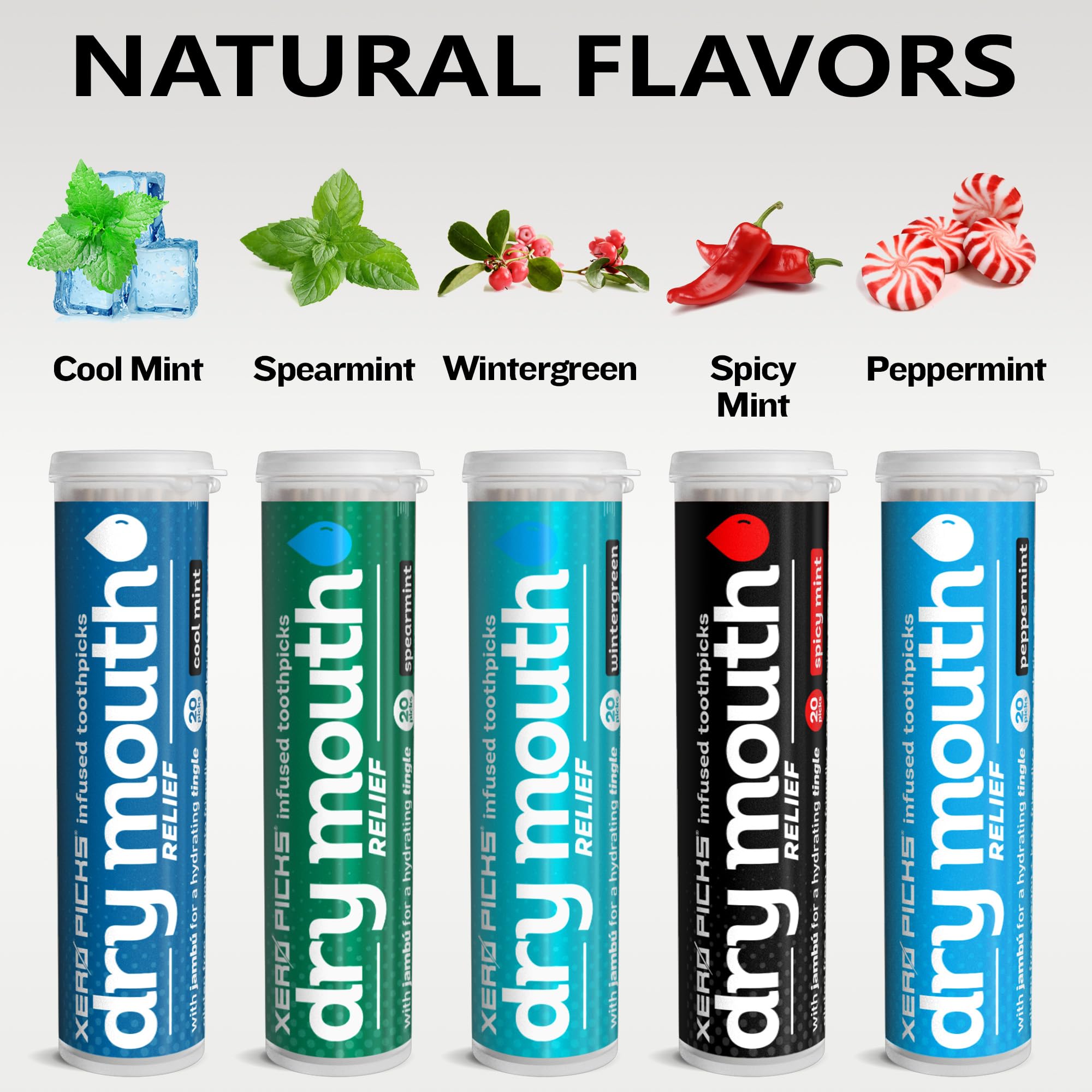 Xero Picks Dry Mouth - Infused Flavored Toothpicks for Long Lasting Fresh Breath & Dry Mouth Prevention (Mints Variety, 20 Count (Pack of 5))