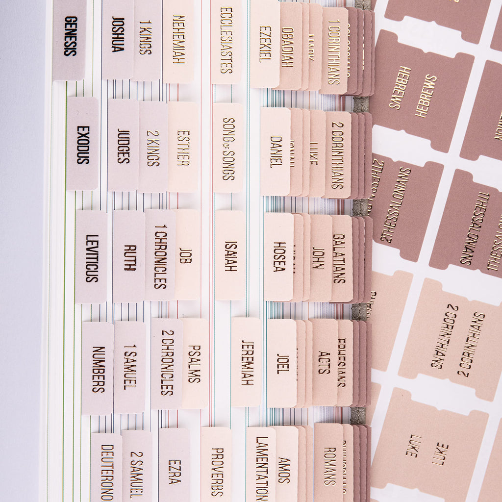 DiverseBee Laminated Bible Tabs (Rose Gold Embossed Lettering), Bible Journaling Supplies, Book Tabs, Christian Gift, 73 Tabs for Women and Men, Includes 4 Blank Dividers (Pearl)