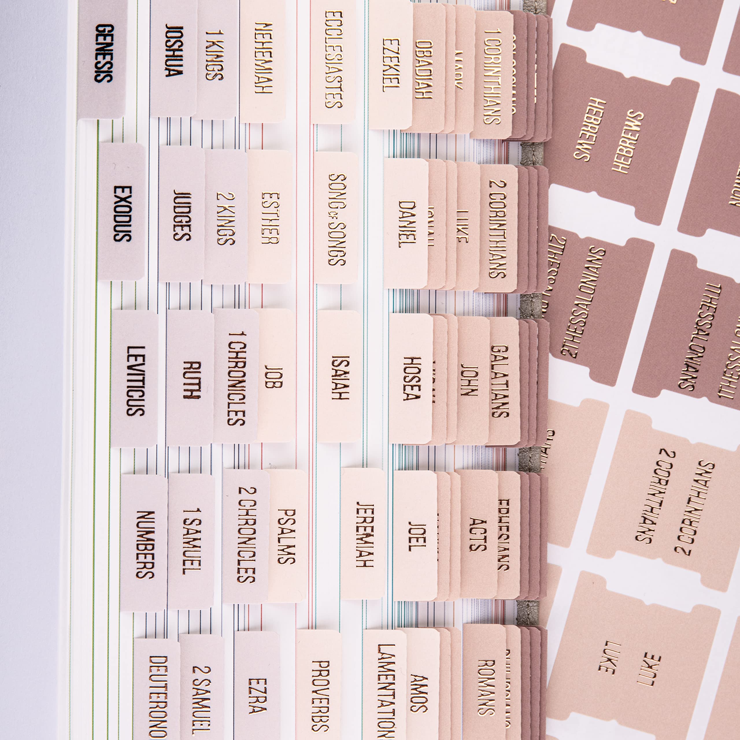 DiverseBee Laminated Bible Tabs (Rose Gold Embossed Lettering), Bible Journaling Supplies, Book Tabs, Christian Gift, 73 Tabs for Women and Men, Includes 4 Blank Dividers (Pearl)