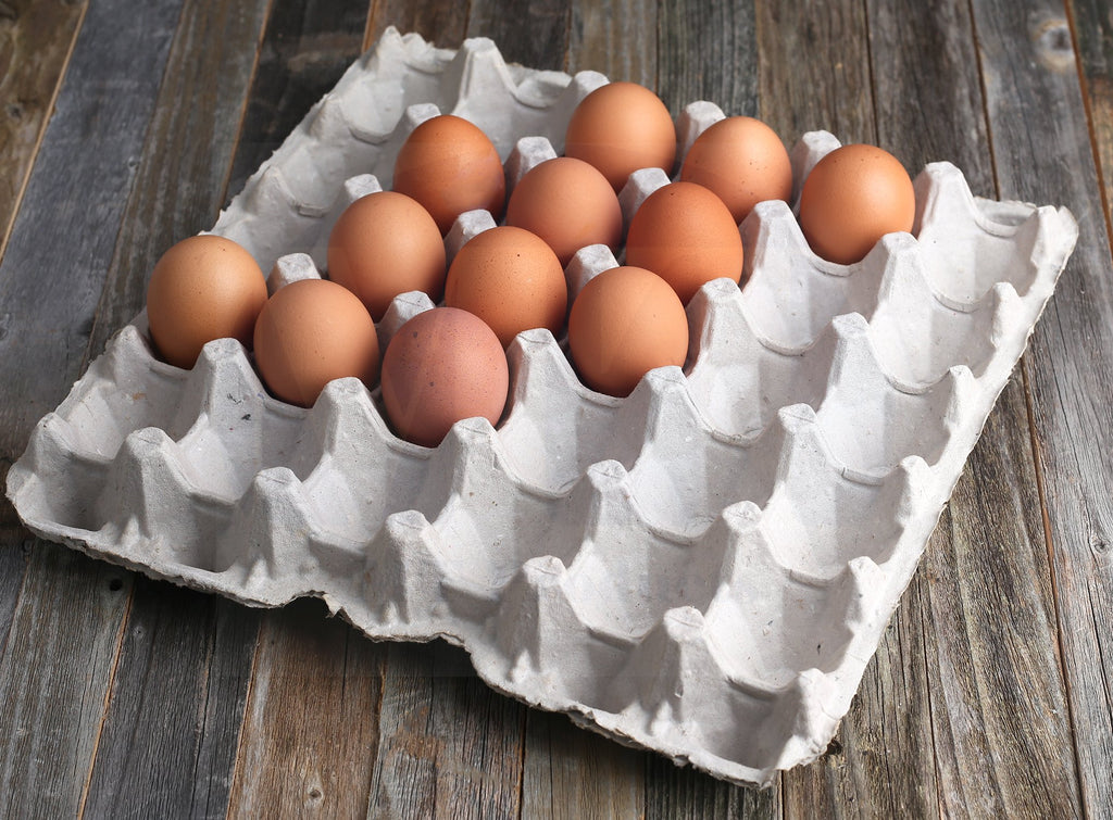 MT Products Egg Crate - (15 Pieces) for Storing up to 30 Large or Small Eggs - Pulp Fiber Egg Flat Cartons That Make a Great Home for Roach Colony - Made in the USA