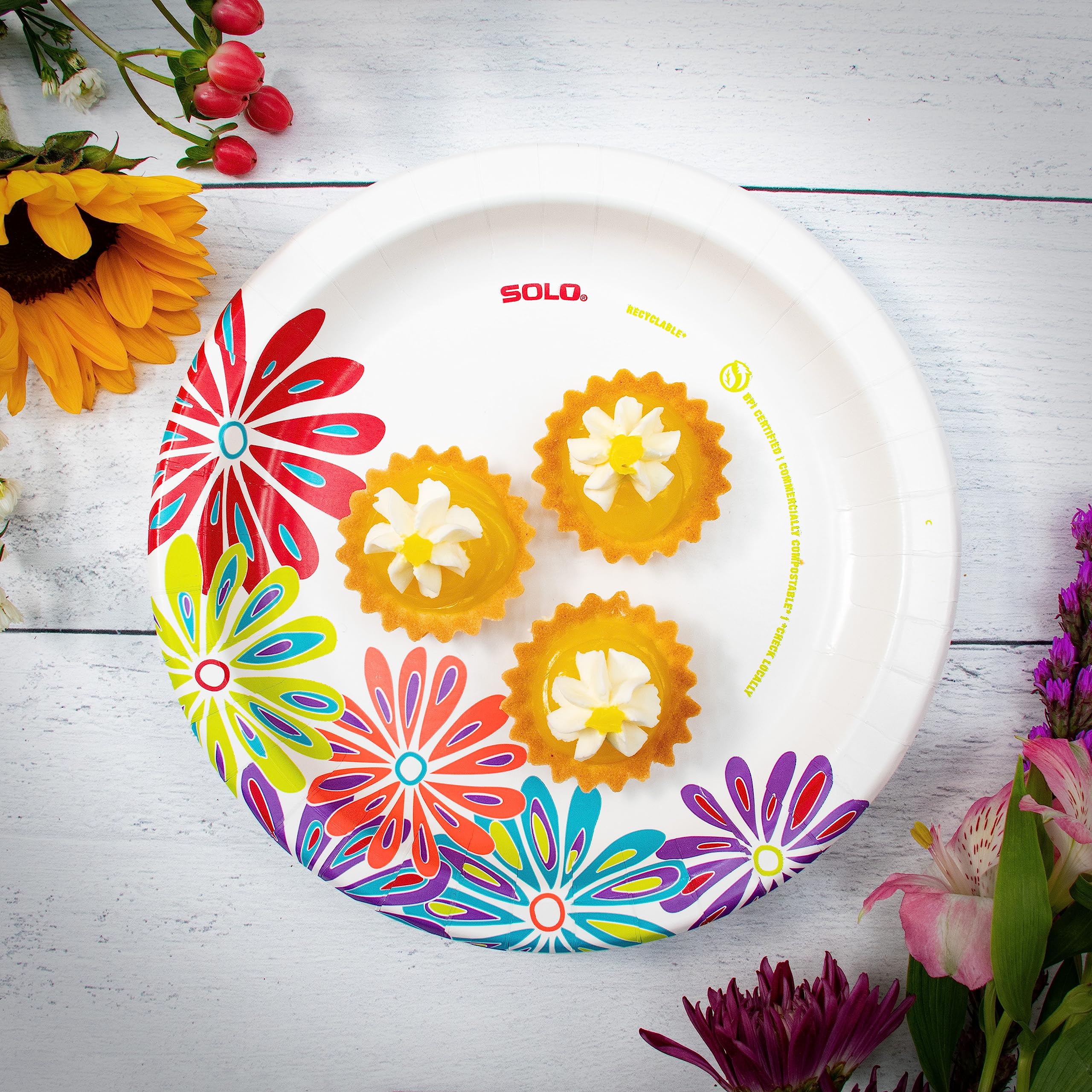SOLO Anyday 8.5" Paper Plates, Mega Pack of 150ct