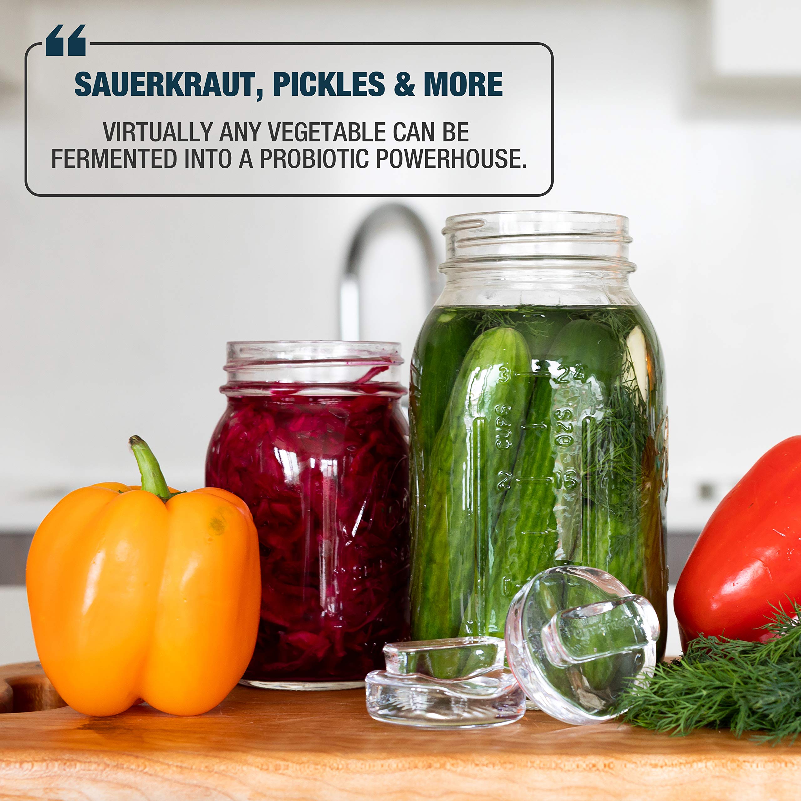Fermentology Saur Stone Glass Weights – Pickling and Fermenting Weights - Set of 4 - Wide Mouth Mason Jar Fermentation