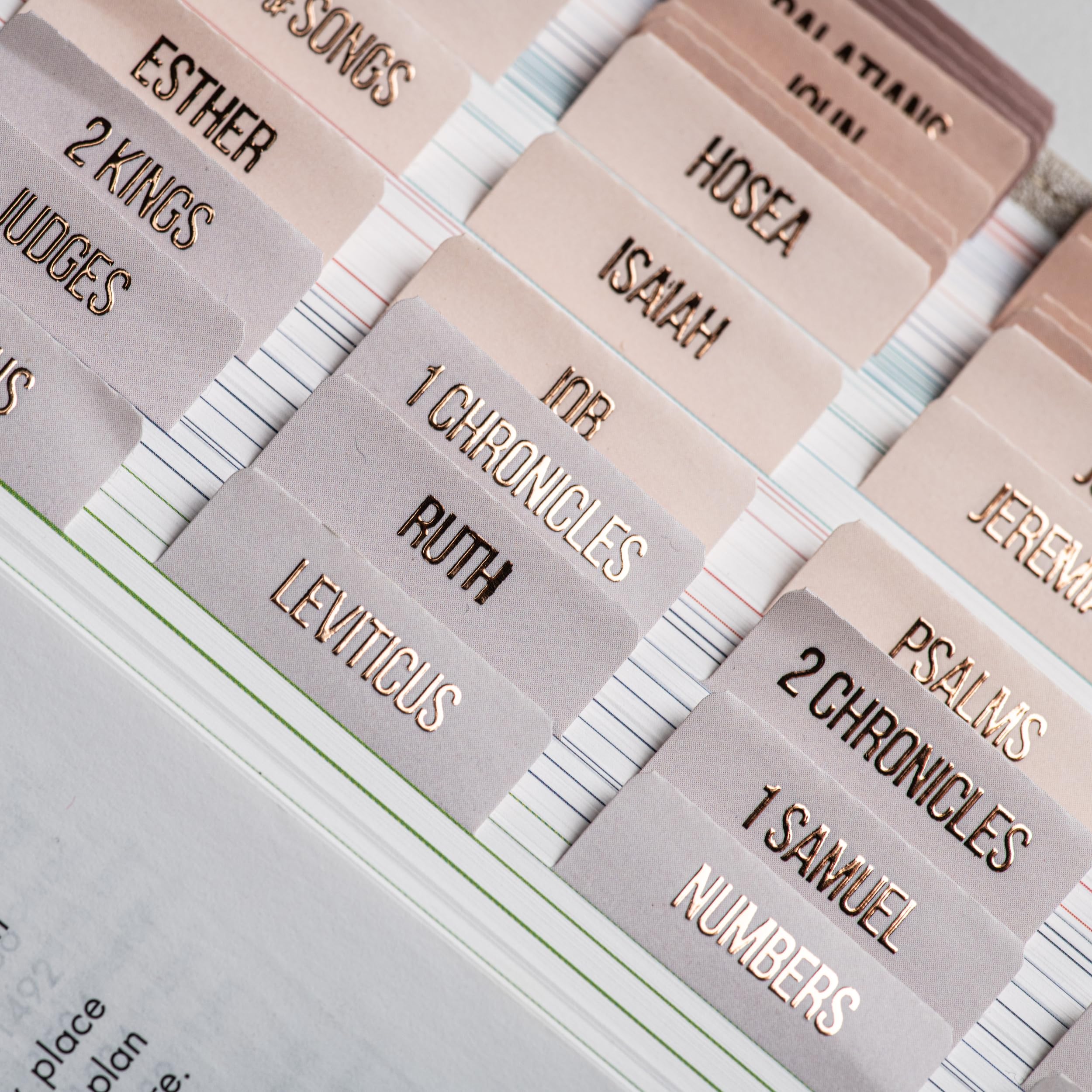 DiverseBee Laminated Bible Tabs (Rose Gold Embossed Lettering), Bible Journaling Supplies, Book Tabs, Christian Gift, 73 Tabs for Women and Men, Includes 4 Blank Dividers (Pearl)