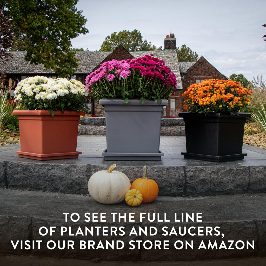 The HC Companies Accent Square Plant Saucer - Durable Plastic Trays For Plants - Stylish Square Tray For Water Drainage - UV Resistant Planter Saucer For Indoor And Outdoor Use (11”, Black, Pack of 2)