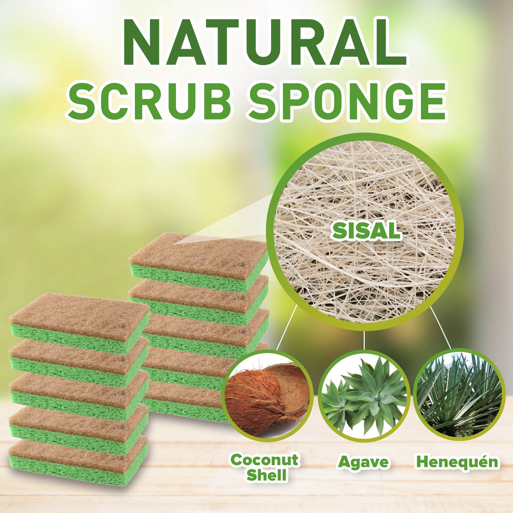 Natural Plant-Based Scrub Sponge by Scrub-it, Non-Scratch, Biodegradable scrubbing sponges with a Tough scouring pad for Kitchen and Bathroom– 24 Pack