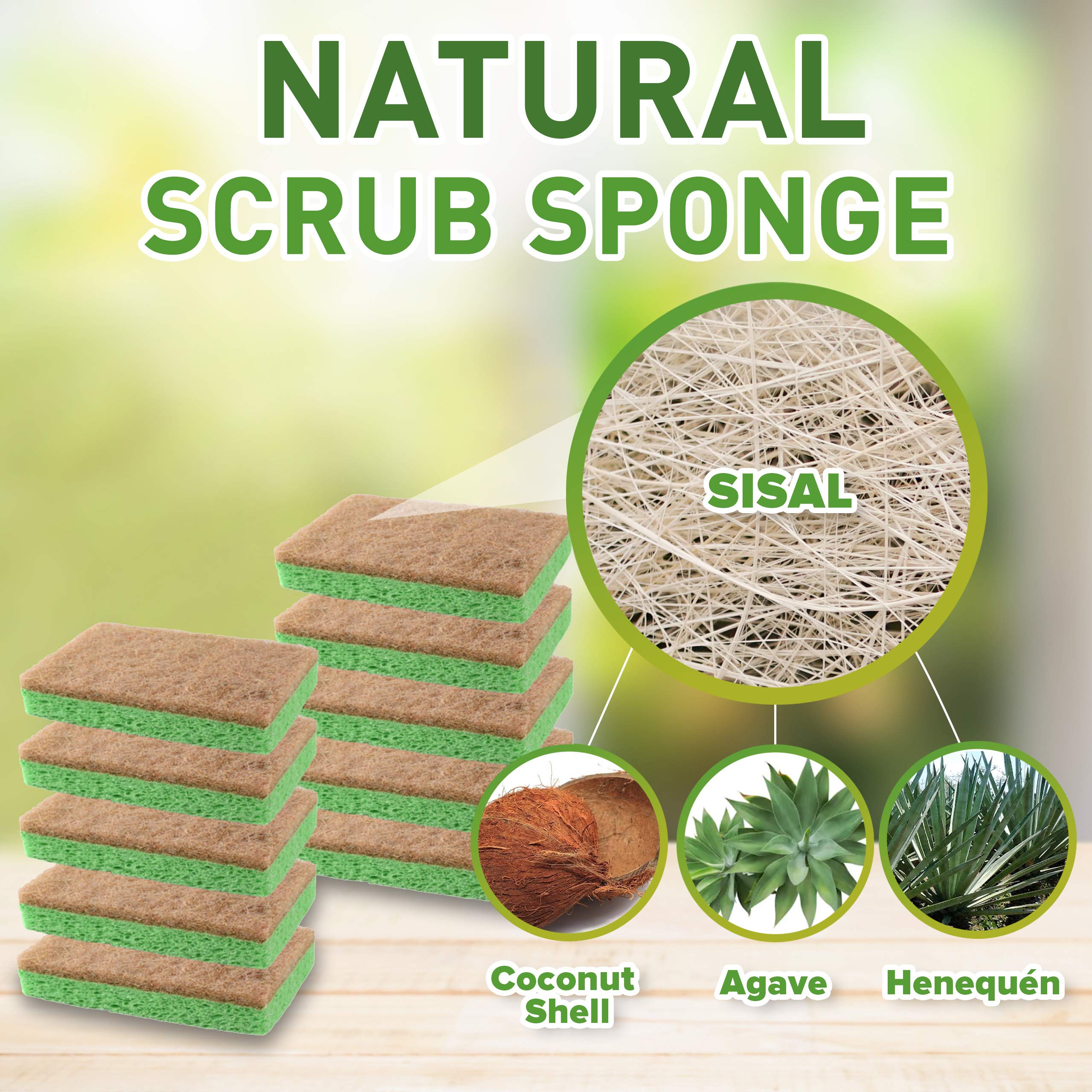 Natural Plant-Based Scrub Sponge by Scrub-it, Non-Scratch, Biodegradable scrubbing sponges with a Tough scouring pad for Kitchen and Bathroom– 24 Pack