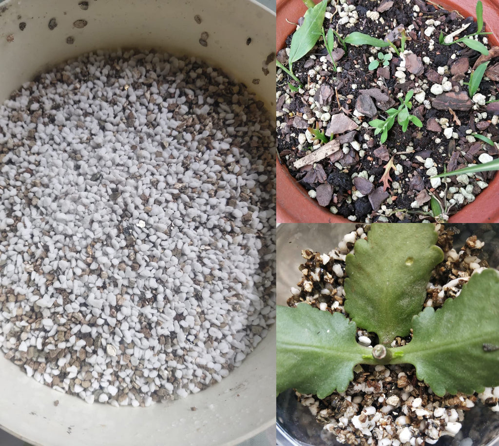 Professional Grade Horticultural Organic Vermiculite and Perlite (Vermiculite, 9.5L-10qt)