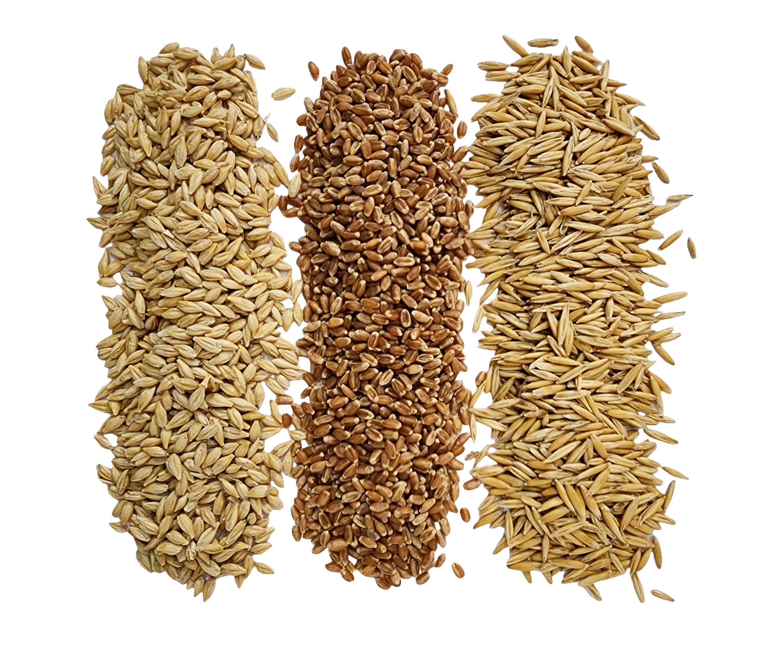 Organic Cat Grass Seeds, Non-GMO, A Mixture of Wheat, Oats, and Barley (800g)