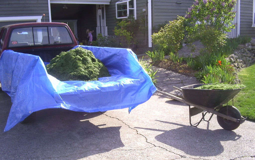 Dry Top 816204 Cut Size Tarp, 16x20 Feet (Blue)