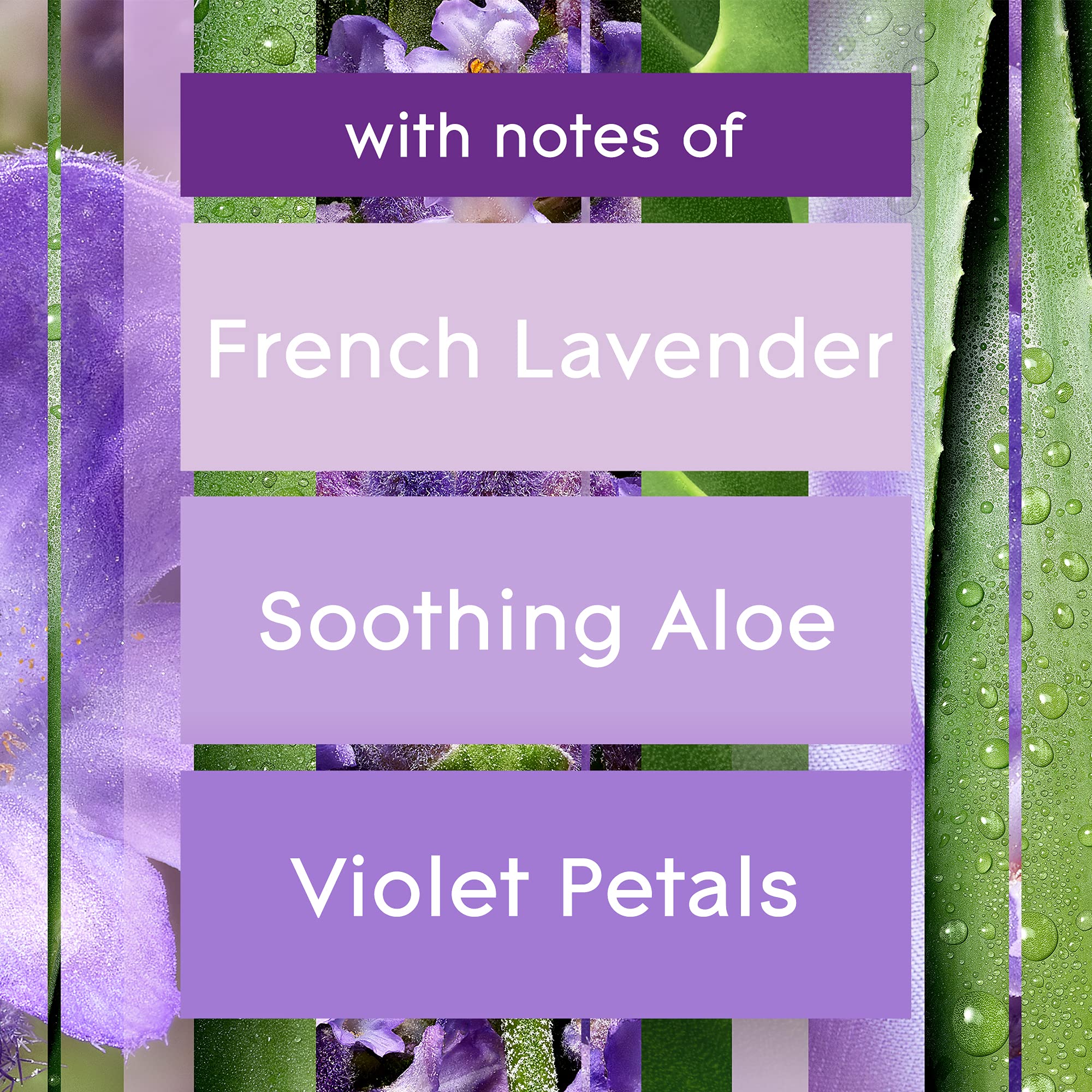 Glade PlugIns Air Freshener Kit, Scented and Essential Oils for Bathroom and Home Fragrance, Tranquil Lavender and Aloe, 2 Warmers and 6 Fragrance Oil Refills