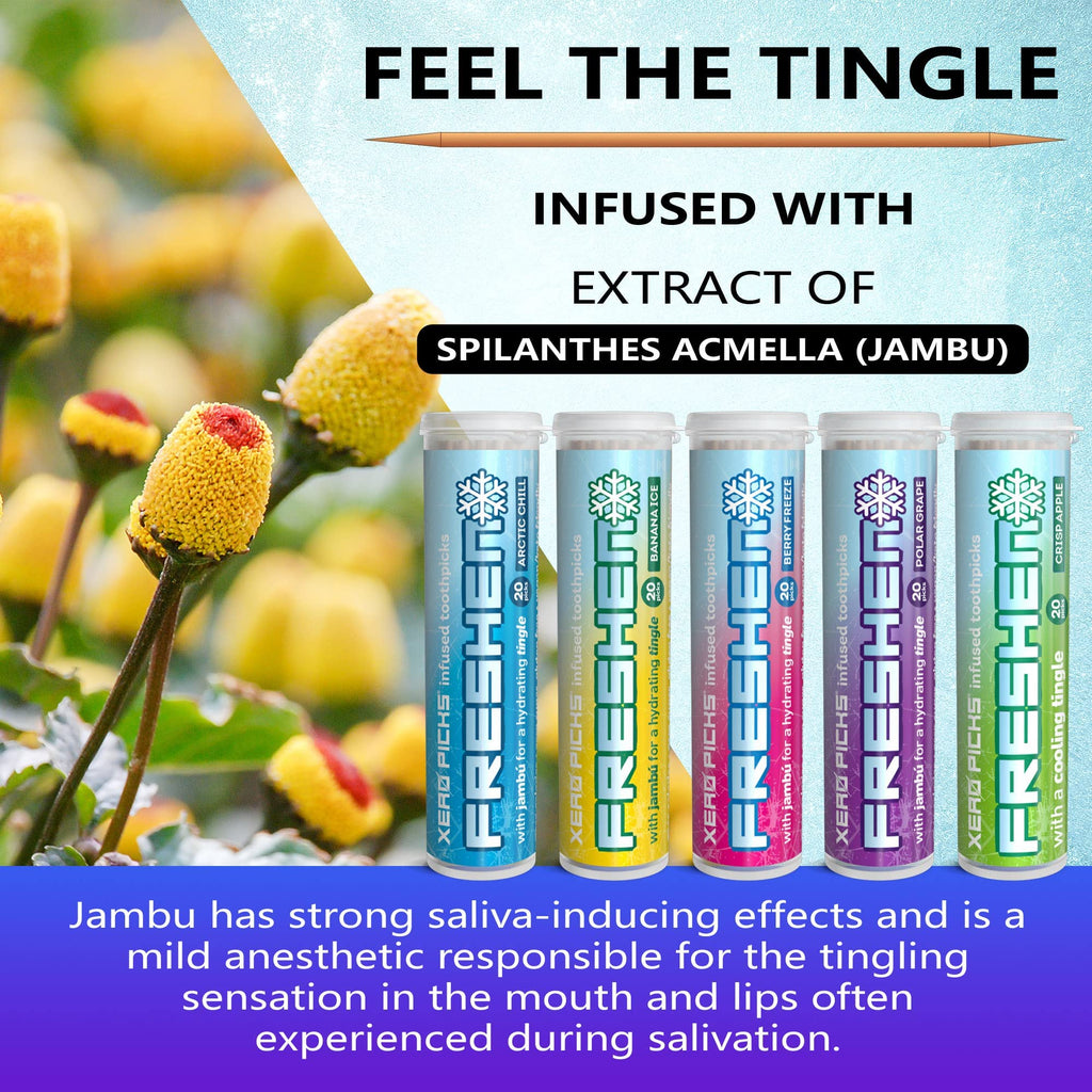 Xero Picks Freshen - Infused Flavored Toothpicks - Cooling Fresh Breath - 100 Picks | 20 per tube - 5 Pack - Variety
