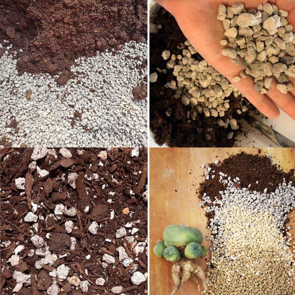 Horticultural Pumice for Plants Professional Sifted - for Succulents, Cactus, Bonsai Plants (1/4 inch, 4.5L)