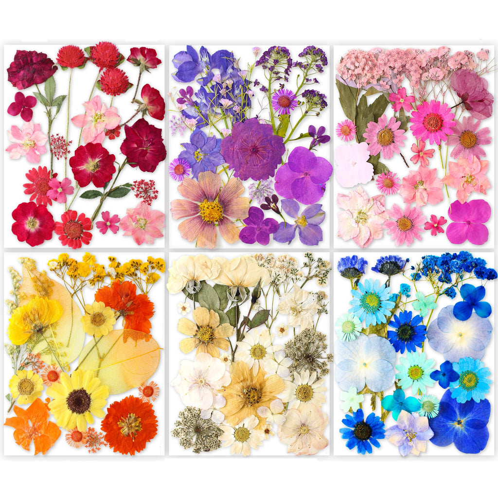 221PCS Real Nature Dried Pressed Flowers for Resin Craft, Dry Pressing Floral with Butterfly Transparent Stickers Set for DIY Jewelry Making Nail Card Scrapbook Art Eternity Summer