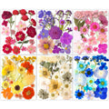 221PCS Real Nature Dried Pressed Flowers for Resin Craft, Dry Pressing Floral with Butterfly Transparent Stickers Set for DIY Jewelry Making Nail Card Scrapbook Art Eternity Summer