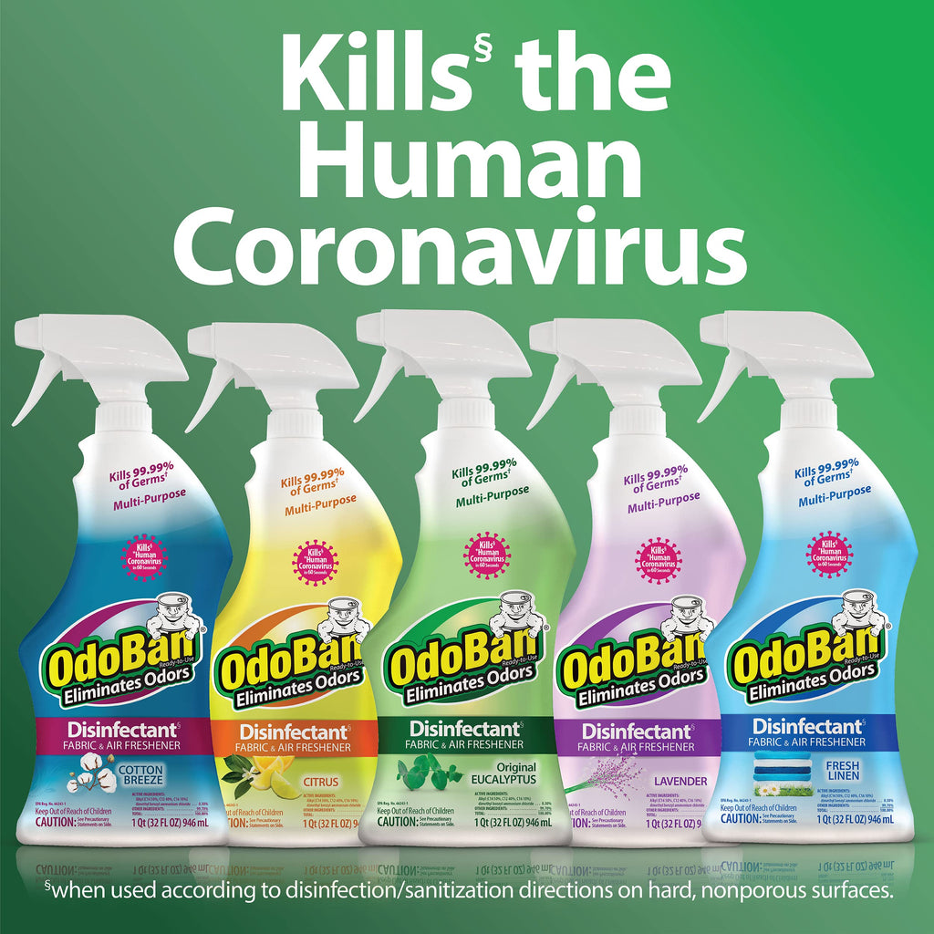 CLEAN CONTROL CORPORATION - Odoban 32OZEuca Cleaner