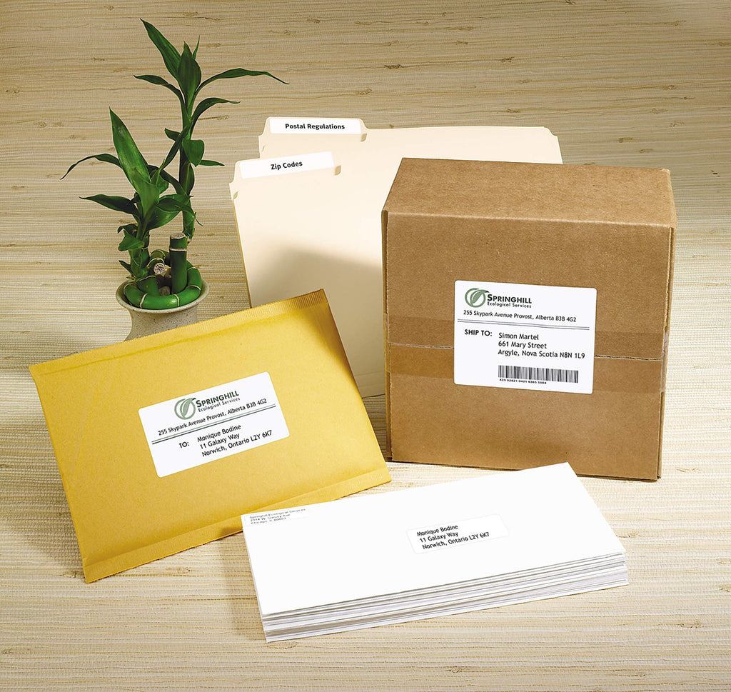 Avery White Rectangle Labels with Easy Peel for Inkjet/Laser Printers, 1" x 2-5/8", White, Rectangle, 750 Labels, Permanent (5260) Made in Canada
