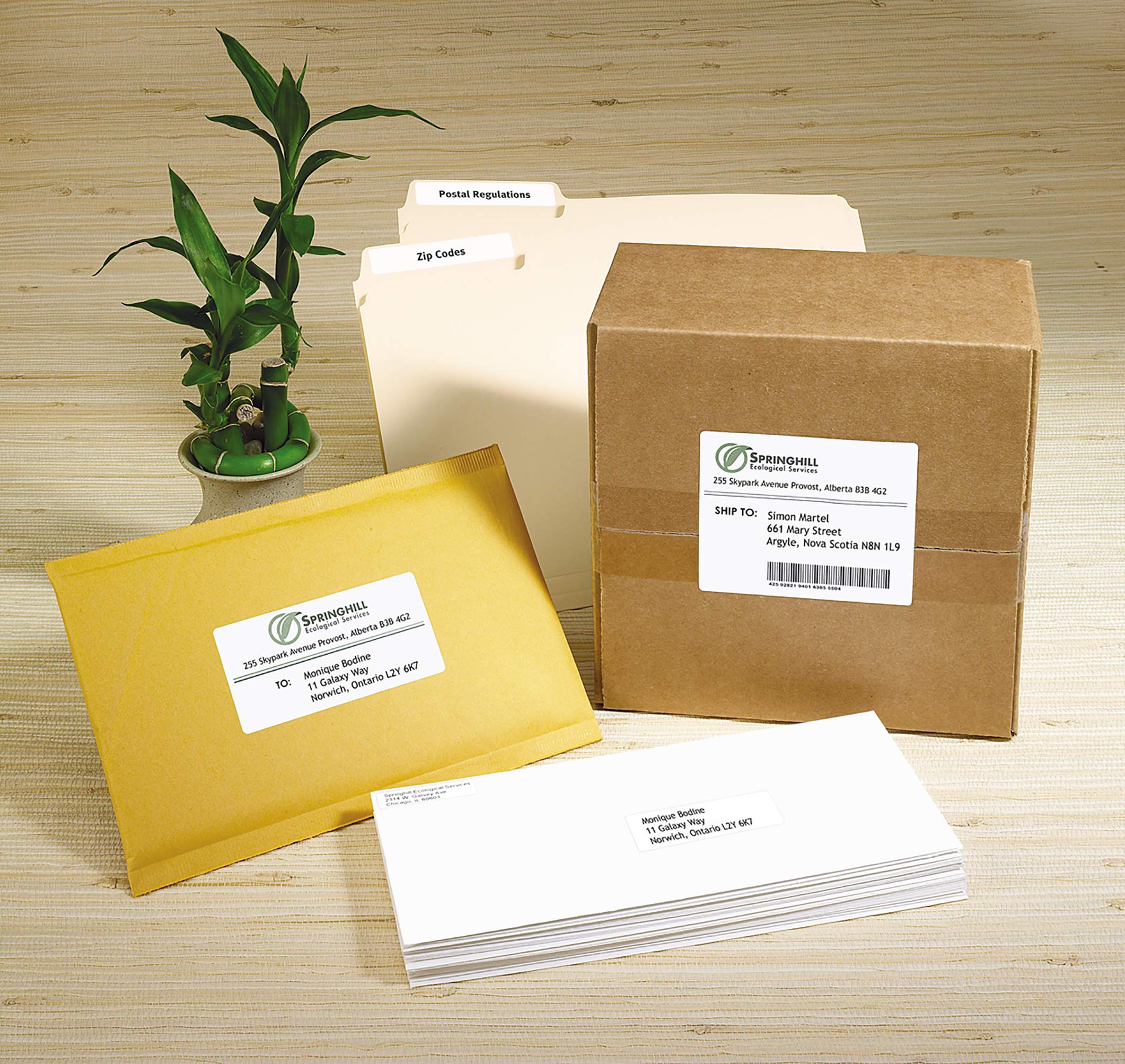 Avery White Rectangle Labels with Easy Peel for Inkjet/Laser Printers, 1" x 2-5/8", White, Rectangle, 750 Labels, Permanent (5260) Made in Canada