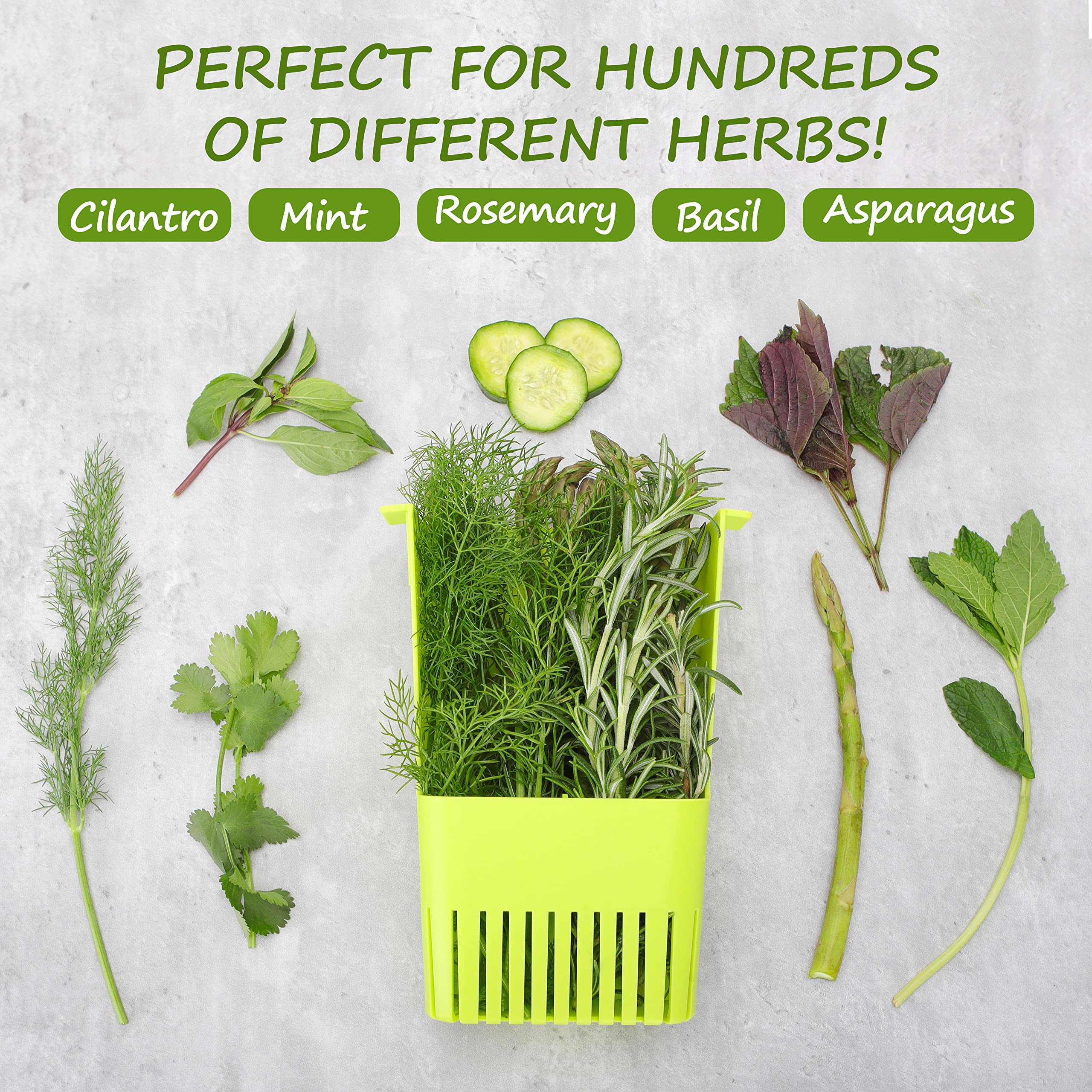 LAWNFUL 2 Pack Fresh Herb Keeper for Refrigerator, Clear Herb Saver, Storage Container for Cilantro, Parsley, Thyme, Mint & Asparagus, Preserver Keeps Fresh Herbs for 3 Times Longer, Green & Blue
