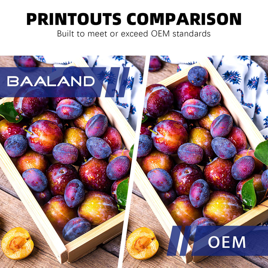 BAALAND Compatible LC51 LC-51 Ink for Brother MFC-240c 230C MFC-885c MFC-465cn MFC-5860CN (4 Black, 2 Cyan, 2 Magenta, 2 Yellow, 10-Pack)