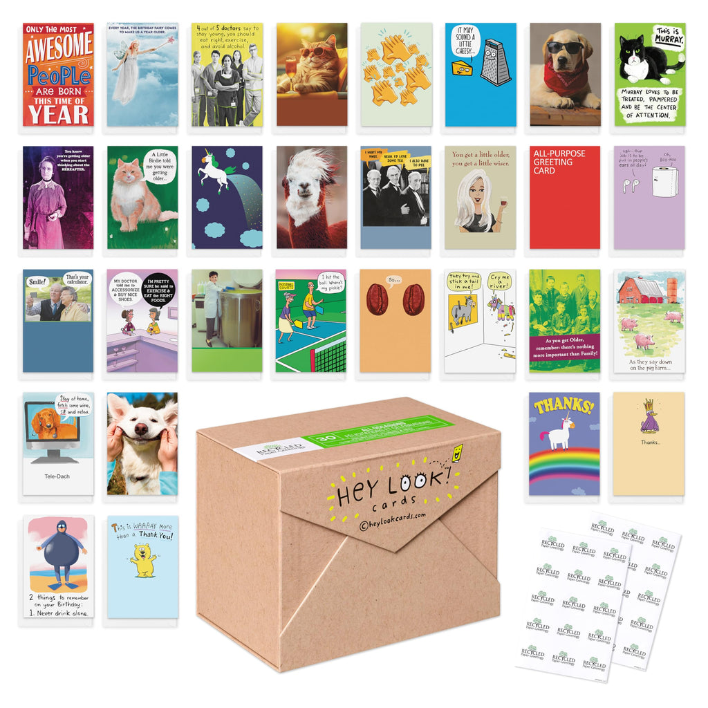 Recycled Paper Greetings 30-Count Funny All Occasion Card Assortment with Envelopes, Seals, and Storage Box by Hey Look!