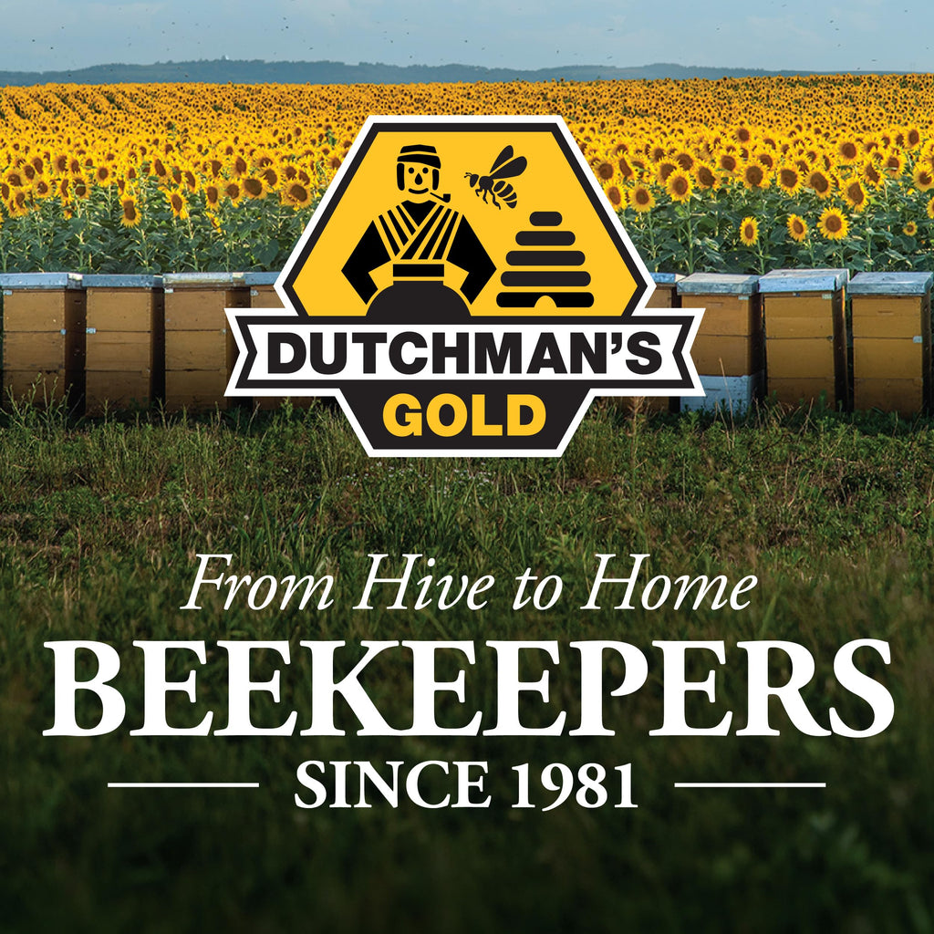 Dutchman’s Gold Beeswax Blocks, 1 oz x 12 Pack | 100% Pure Canadian Cosmetic Grade Beeswax | Handcrafted | Ideal for Candles, Food Wraps, Crafts & DIY Projects