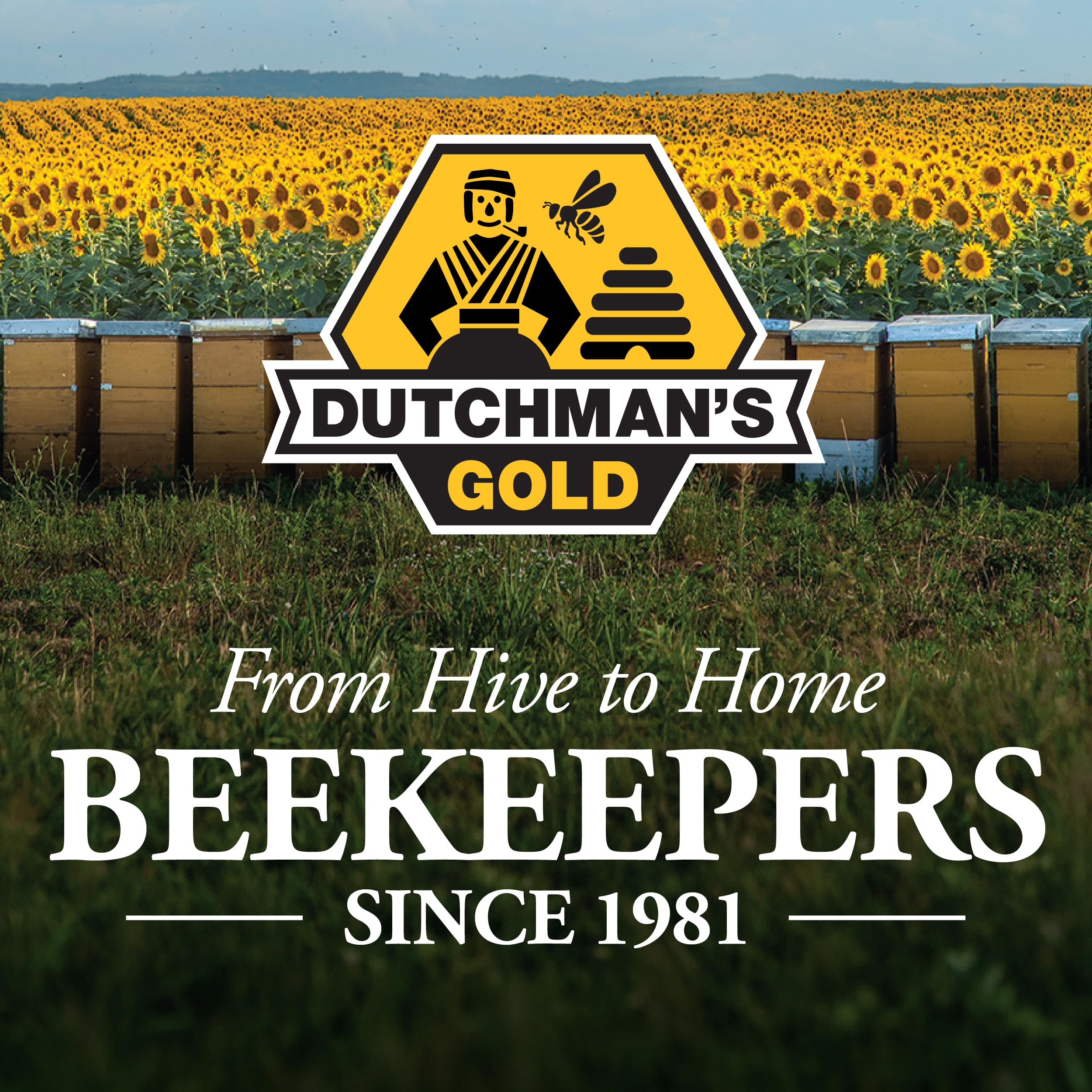 Dutchman’s Gold Beeswax Block, 454 g (1 lb) | 100% Pure Canadian Cosmetic Grade Beeswax | Handcrafted | Ideal for Candles, Food Wraps, Crafts & DIY Projects