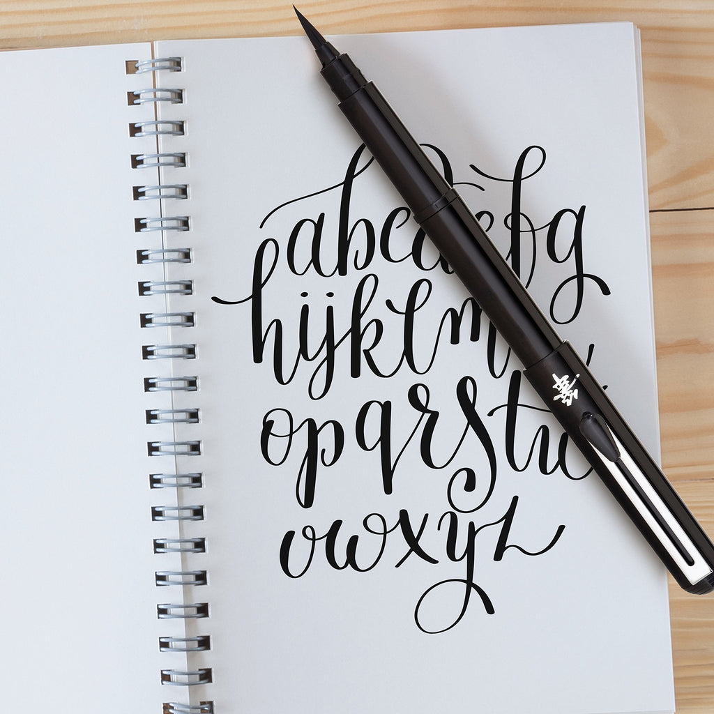 Pentel Arts Pocket Brush Pen, Includes 2 Black Ink Refills (GFKP3BPA)