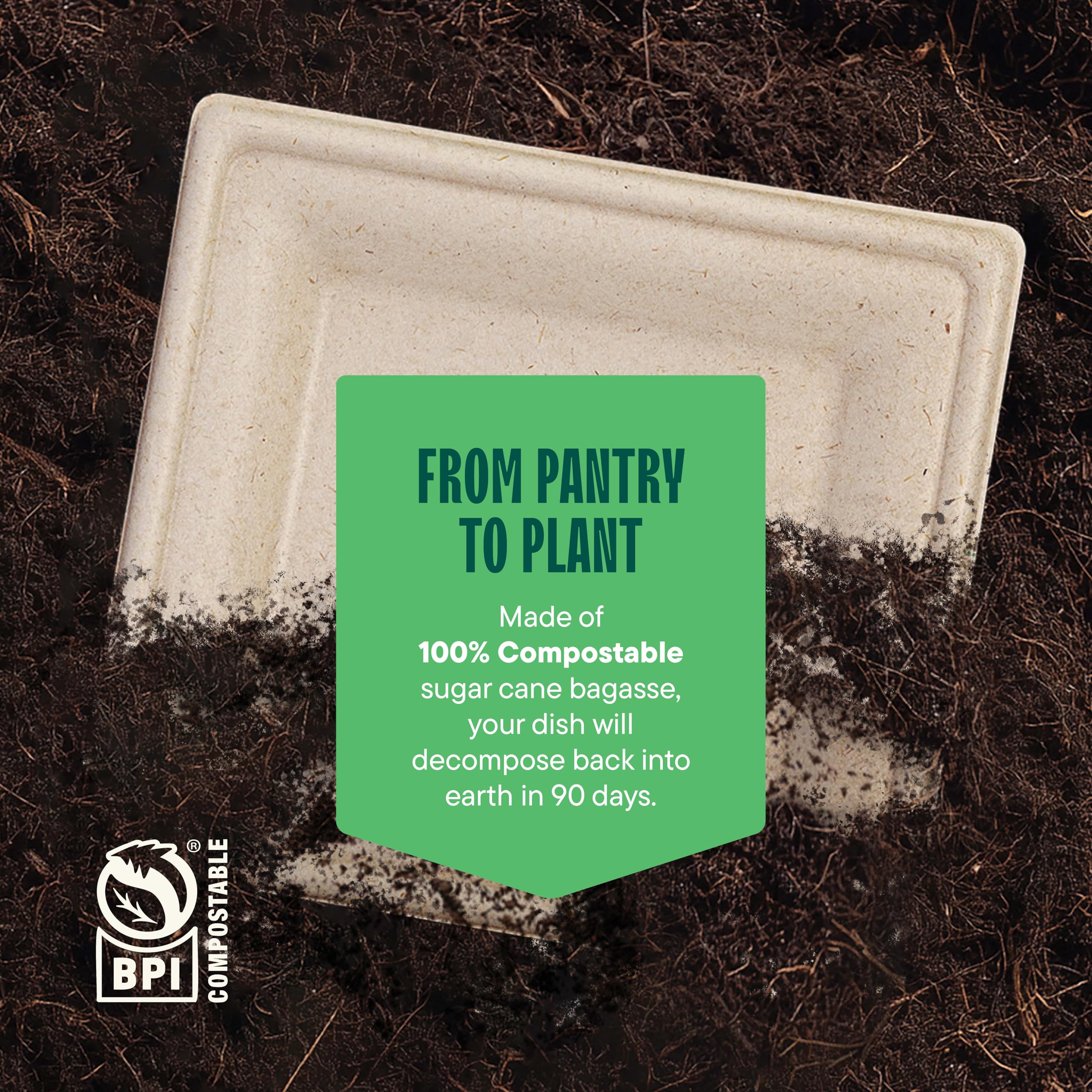 100% Compostable Square Paper Plates [6" x 6", Pack of 50] Elegant Premium Disposable Plates, Natural Unbleached Bagasse, Eco-Friendly, Made from Sugarcane Fibers, 6" Biodegradable Plate
