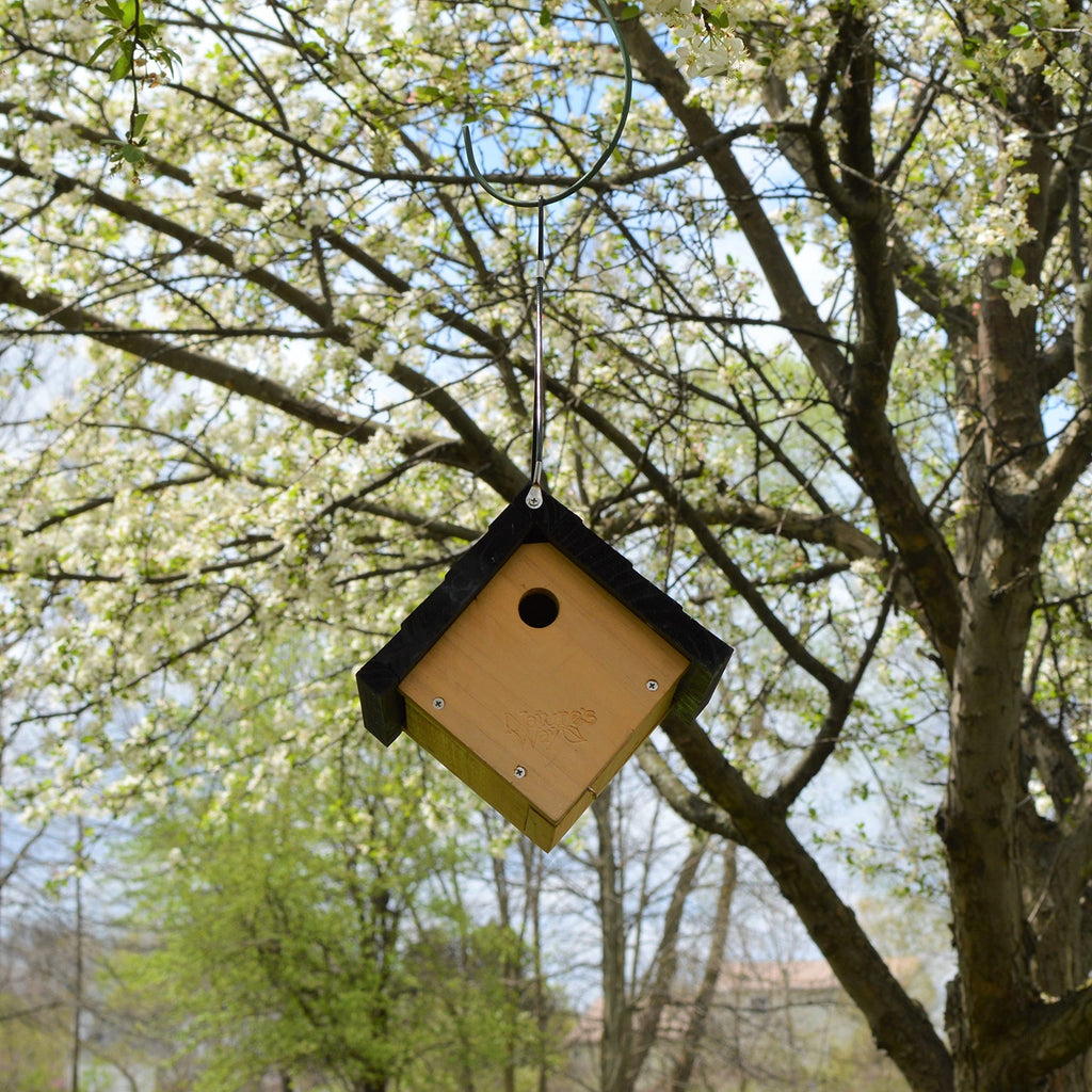 Nature's Way Bird Product CWH1 Cedar Wren House, 8 by 8.875 by 8.125-Inch