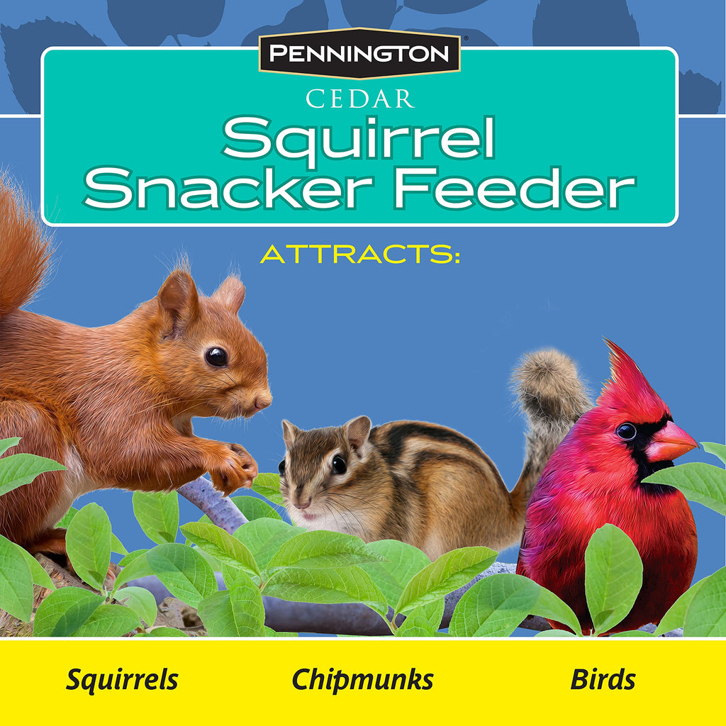 Pennington Cedar Squirrel Snacker Feeder Amish Made in The USA