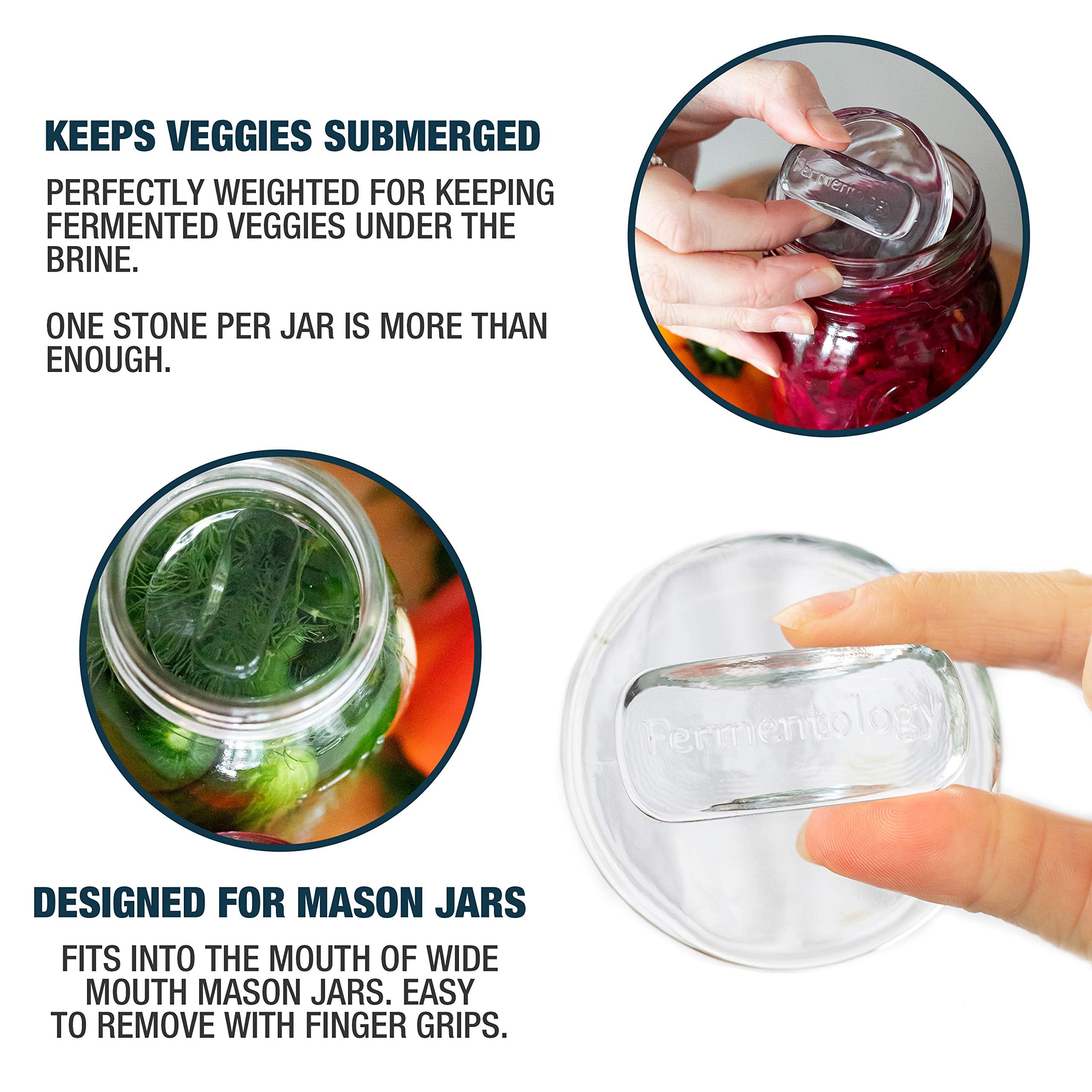 Fermentology Saur Stone Glass Weights – Pickling and Fermenting Weights - Set of 4 - Wide Mouth Mason Jar Fermentation