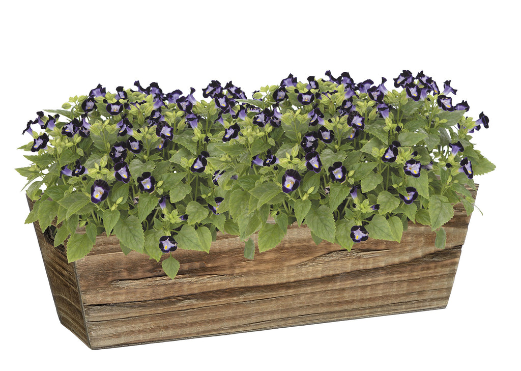 GARDENGOODZ Wood Handled Window Box Planter - Buffalo Brown