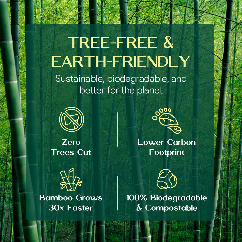 100% Bamboo Paper Towels | Lint-Free, Eco-Friendly, Tree-Free | 2-Ply Kitchen Paper Towel | Food Grade – FSC-Certified, BPA/PFAS-Free | 6 Rolls (450 Sheets) | PALM NAKI