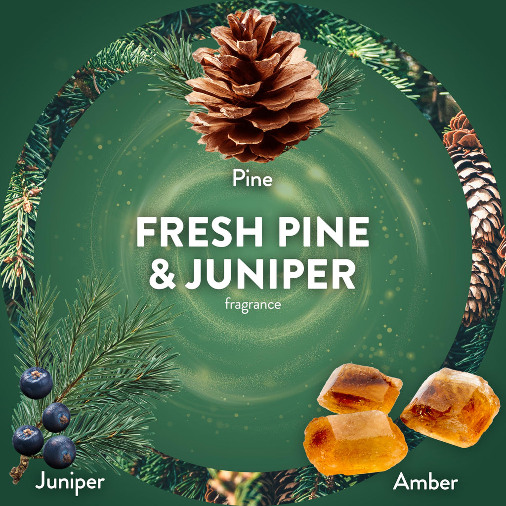Air Wick Plug in Scented Oil Refill, 5 Ct, Fresh Pine and Juniper, Air Freshener, Essential Oils, Fall Scent, Fall décor