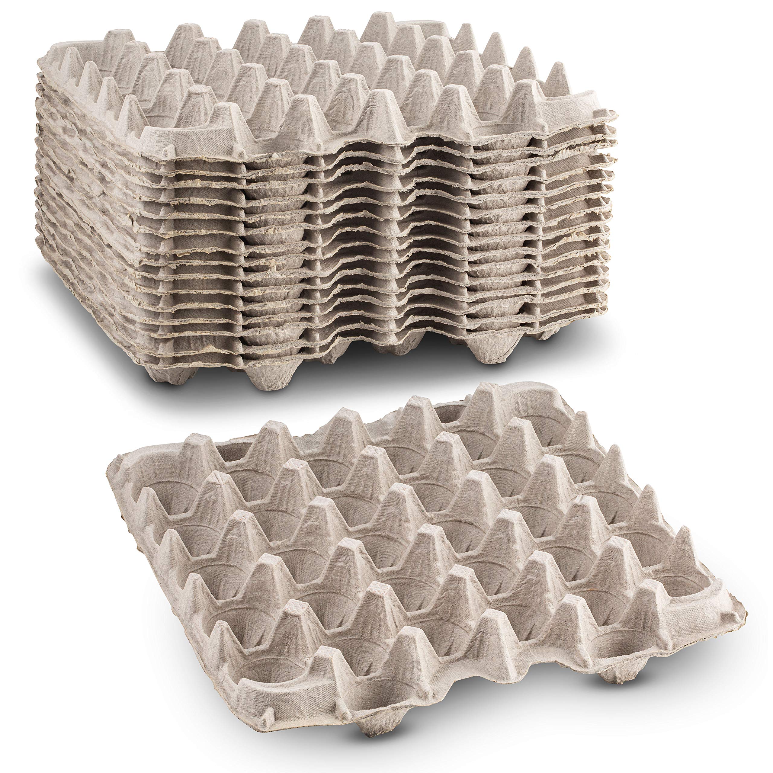 MT Products Egg Crate - (15 Pieces) for Storing up to 30 Large or Small Eggs - Pulp Fiber Egg Flat Cartons That Make a Great Home for Roach Colony - Made in the USA